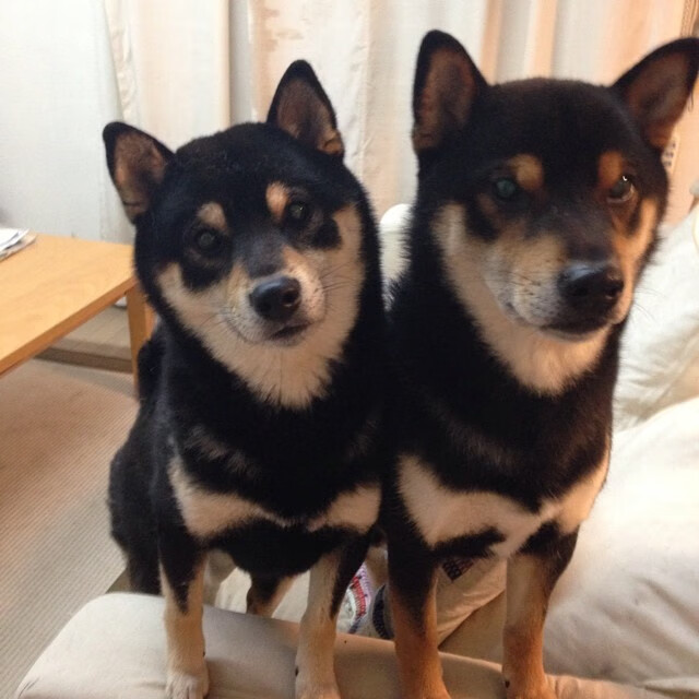 世界排名争夺战之夜,莱万攻防转换核心