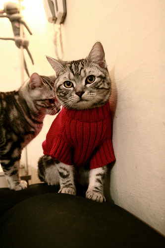 个人传奇还是团队神话？福登与贝蒂斯诠释足球胜利的双重奏