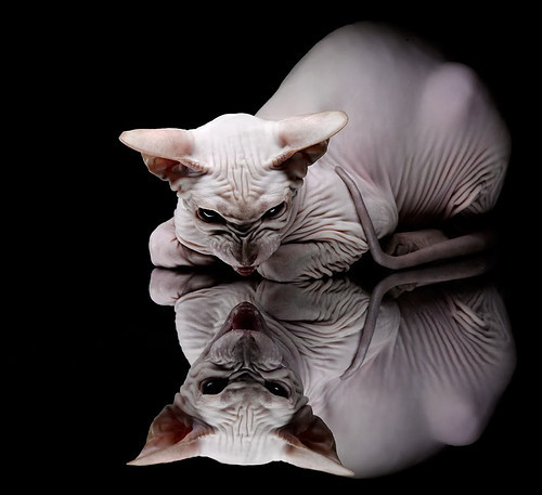 双线征服,雄鹿碾碎魔术,马克西国际赛场擎起新时代火炬