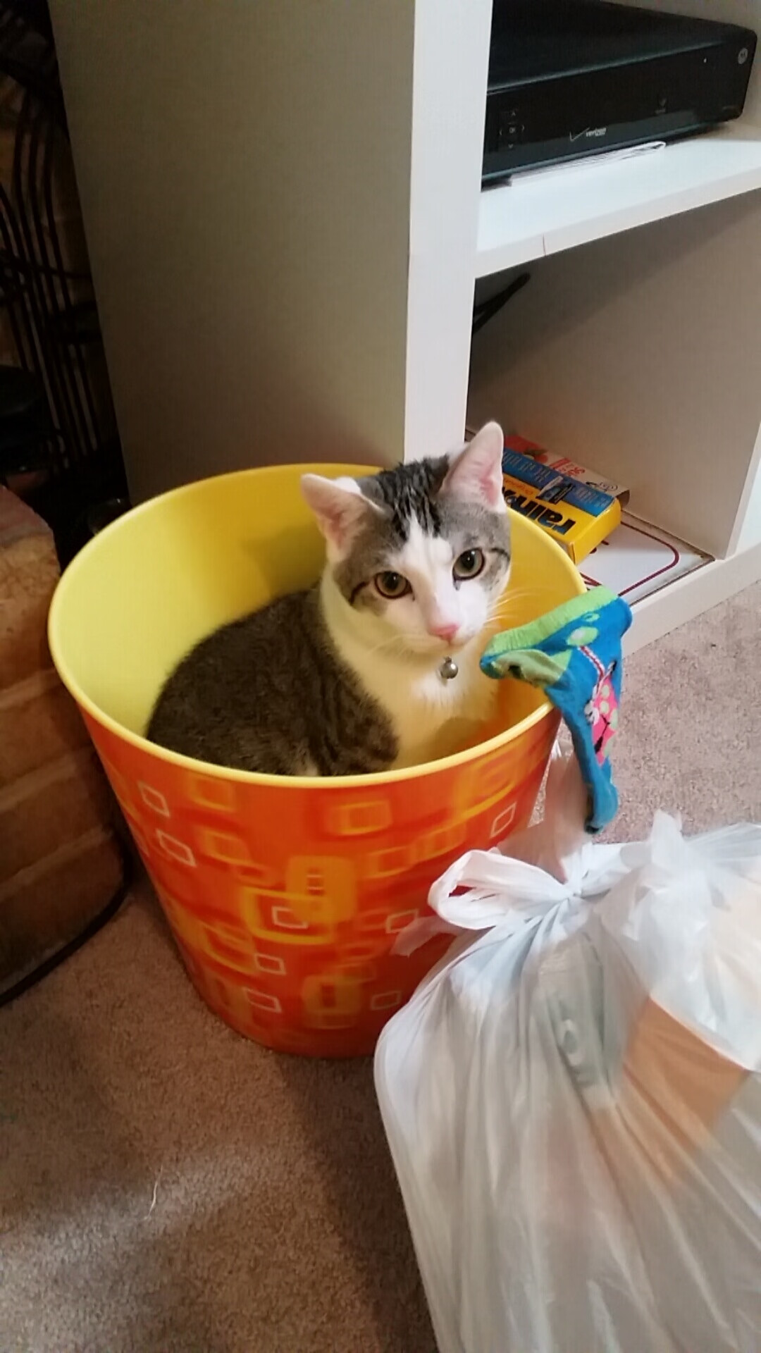 锡安一剑封喉！国王鏖战加时险胜爵士，惊险夺冠