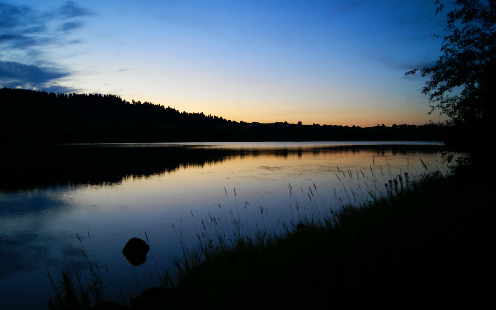 皮克完美演绎防守艺术，多特蒙德闪电战击溃勒沃库森