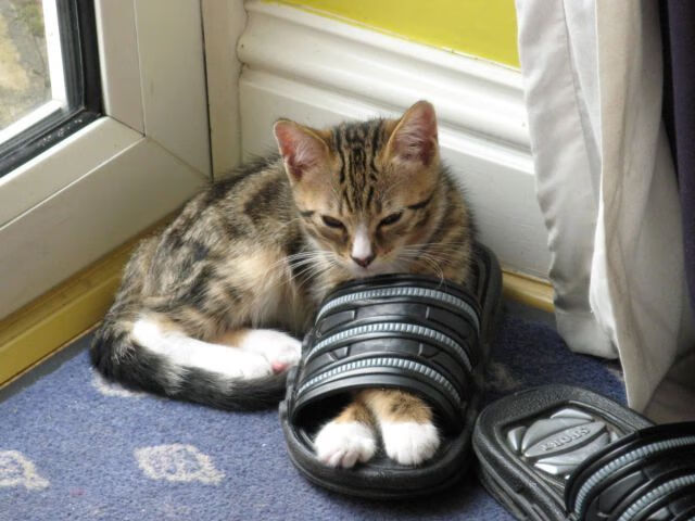 唯一性的交响，中国掀翻雷恩与梅西生涯之夜的共鸣