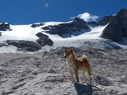 绝杀时刻！黄蜂欧冠淘汰赛最后秒杀广厦队