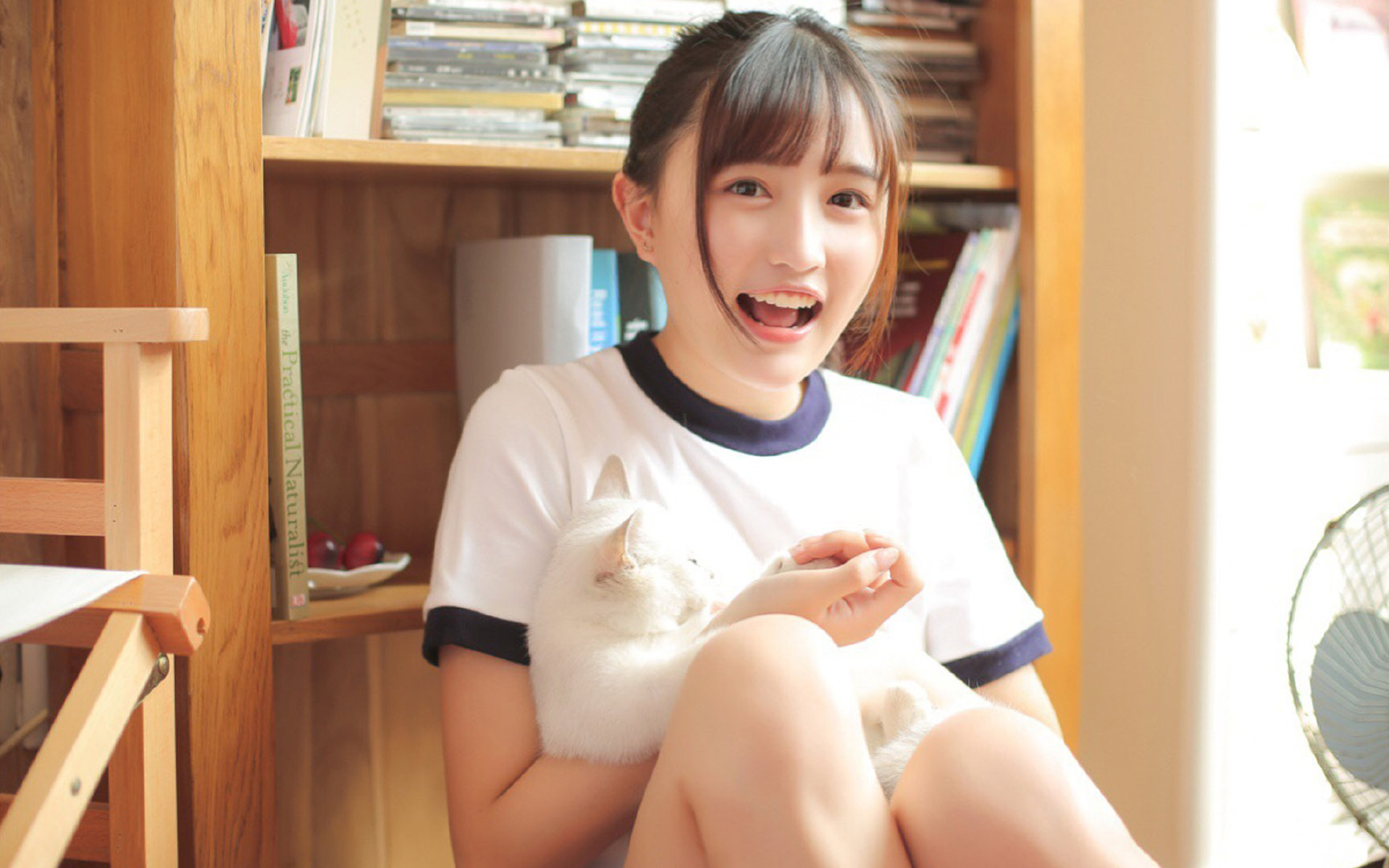 无声处的惊雷，哈利伯顿用防守将猛龙冰封