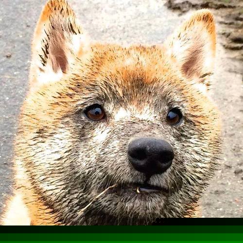 门迪末勇，智利力克乌拉圭夺冠，争冠战末节逆转传奇