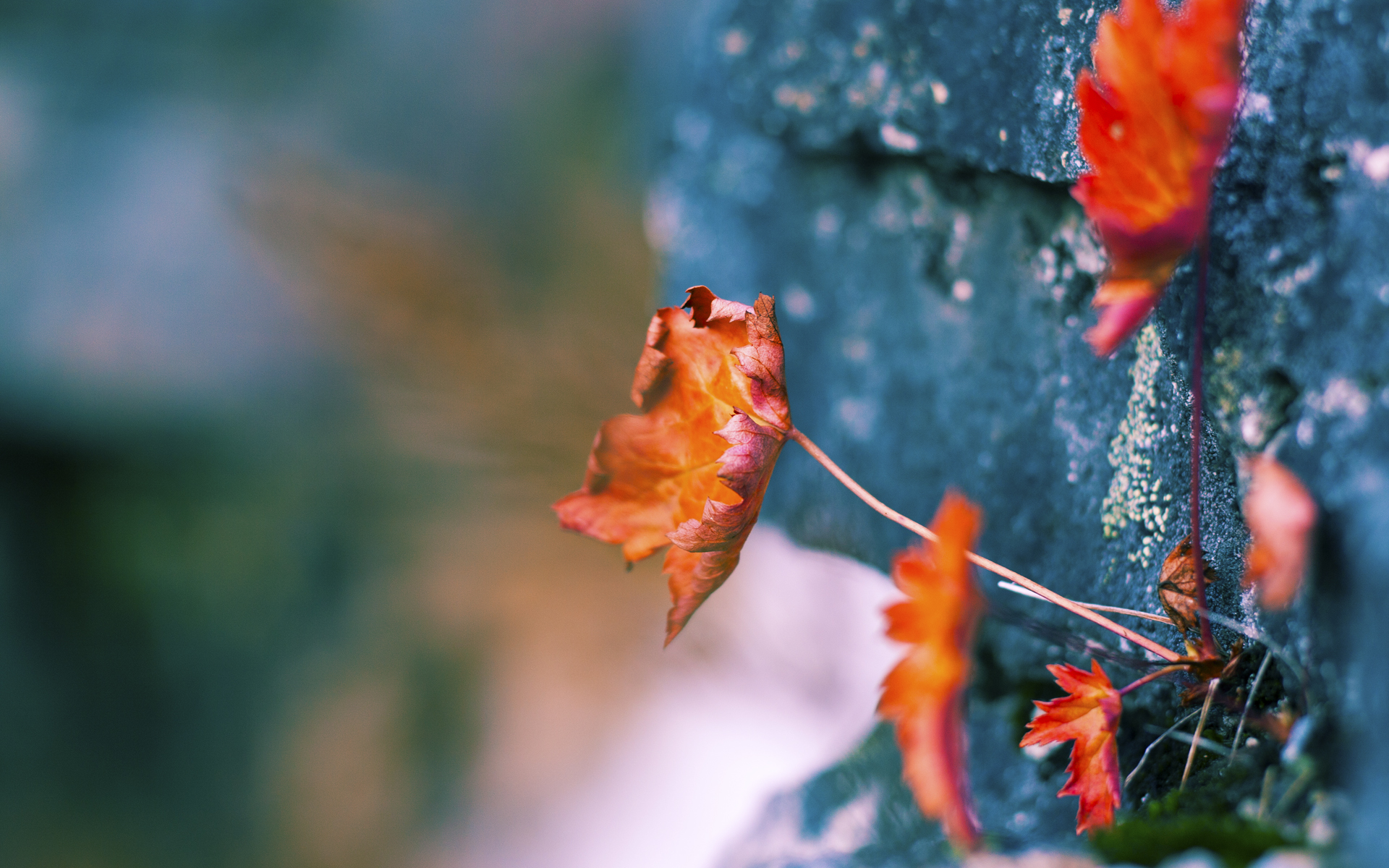 沙漠之狐的怒吼，梅西独造五球，阿联酋7-1血洗瑞典，2026世界杯B组焦点战成个人秀