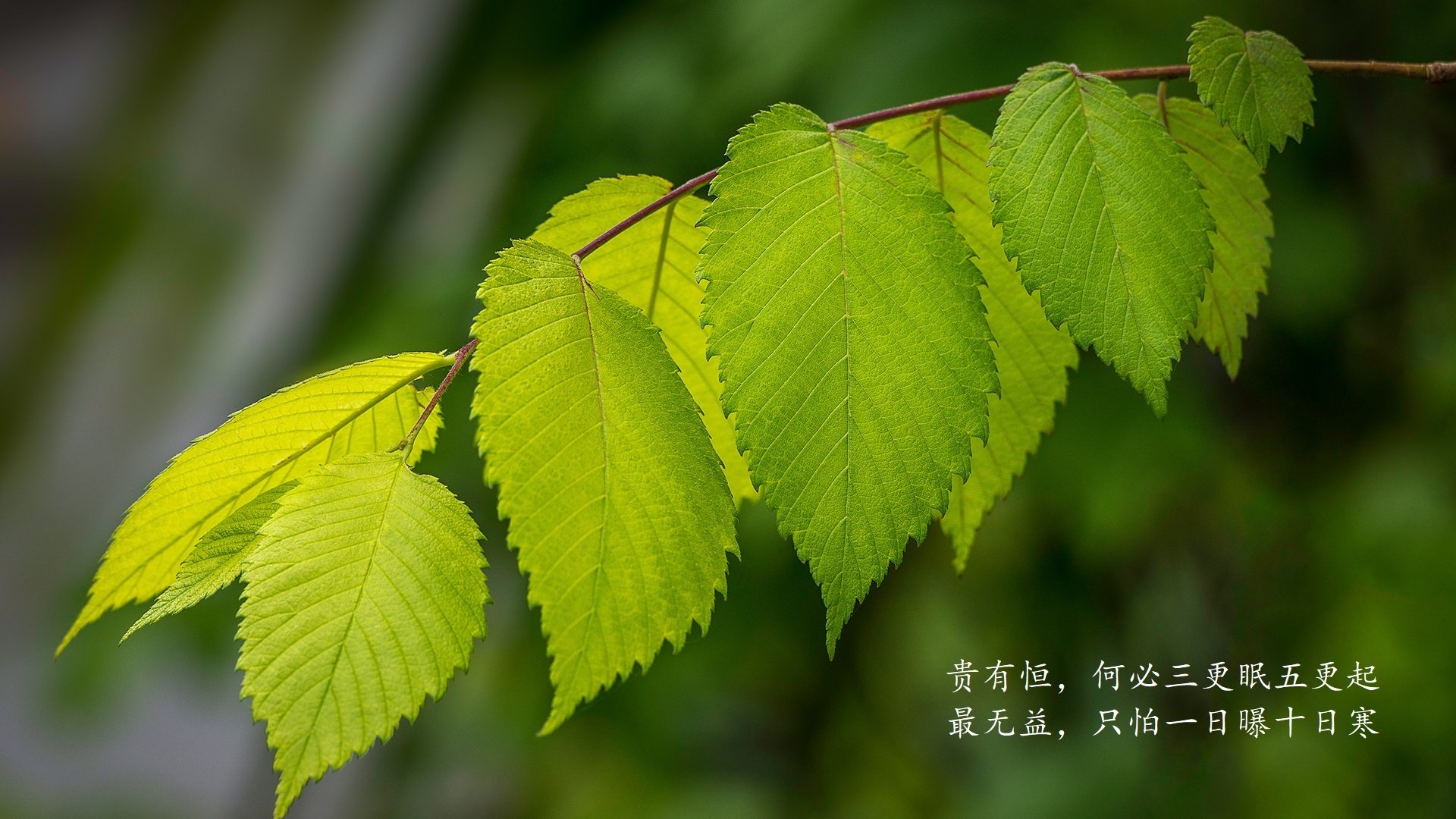 首先，我们扩展思维，拟定一个能体现唯一性的标题